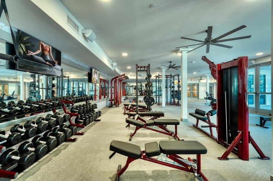 Cozysuites Phx Roro Gym, Pool, Pets, Parking! #7
